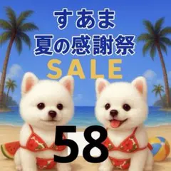 ✨夏の感謝祭セール✨パネル【Ｎｏ．58】