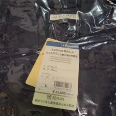 Item thumbnail for item 76e46f44-67a9-4dd5-a1e7-ae6d6d6feae7