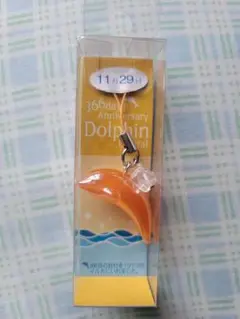 11月29日 366day Dolphin Anniversary　キーホルダ