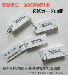 Item thumbnail for item 6a29aaf7-3650-47f5-a2c9-d4503b5ab95c