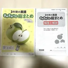 3年間の英語 ぎゅぎゅっと総まとめ【中学生用】