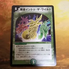 デュエルマスターズ 旧枠 爆進 イントゥ・ザ・ワイルド