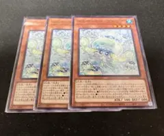 マルチャミープルリア 3枚