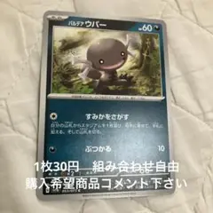 パルデアウパー　在庫1 トリプ