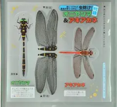 女性セブン付録　虫除けオニヤンマ & アキアカネ　浮世絵 塗り絵