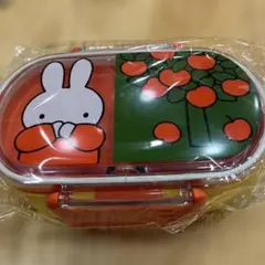 Item thumbnail for item 30865e3a-be70-46b9-866a-da4ff252c14f