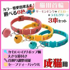 Item thumbnail for item 8bd996c8-e6c1-423a-98ad-3ebeb524db9e