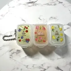 5980☆ 文鳥　ピルケース　三連　ジョイント　レジン　ハンドメイド