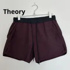 THEORY 男の人　スイミングショーツ　海パン　S