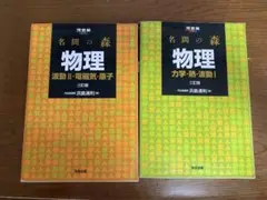 河合塾　名問の森　物理　参考書　2冊セット　波動　電磁気　原子　力学　熱