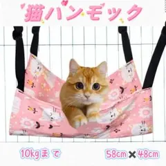 Item thumbnail for item d5731d56-4338-45dc-9fc1-1b588013ccf2