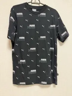 PUMA Tシャツ メンズM