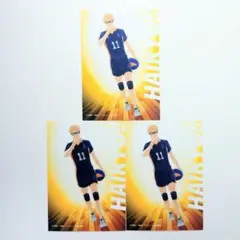 月島3点セット　ピクチャーズコレクション　エンスカイ　ジャンフェス