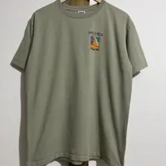 00s アンビル tシャツ プリント ワンポイント アーチズ国立公園 L
