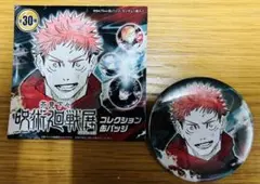 呪術廻戦展 コレクション缶バッジ 虎杖悠仁