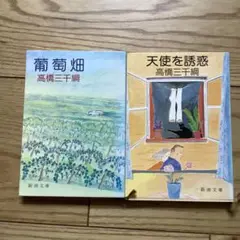 高橋三千綱 葡萄畑 & 天使を誘惑 2冊セット
