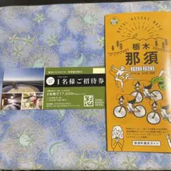 那須いちやホテル 1名招待券