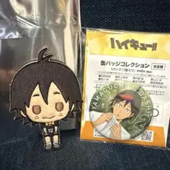 ハイキュー!! 山口忠セット