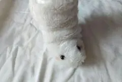 ちんのぬいぐるみ 6 (ホワイト)