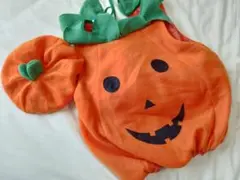 Item thumbnail for item c0a37f01-c3ef-4eb2-b004-8452b58ef171