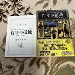 百年の孤独 ガブリエル・ガルシア＝マルケス著 読み解き支援キット付き