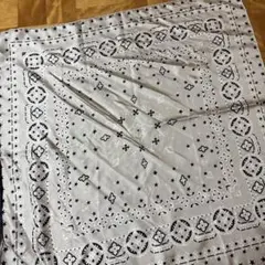 manipuri マニプリ　ペイズリー柄シルクスカーフ