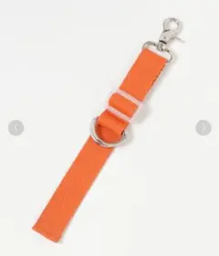 Item thumbnail for item 05e95f7e-6f61-4cc2-b972-8e74512927b8