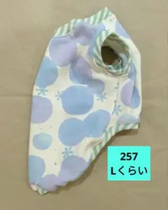 Item thumbnail for item 74266ae7-f7bf-457a-8b56-521fe9cb1596