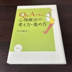 Q&Aで学ぶ心理療法の考え方・進め方