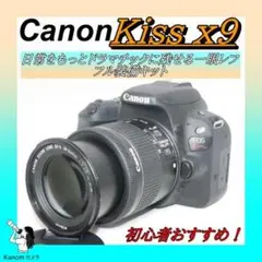 Item thumbnail for item 4e23e2b2-484e-47d6-93a5-bf7585f0f5c9