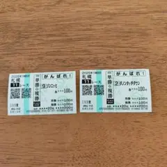外れ馬券×2枚　ゾンニッヒ　ダノンタッチダウン