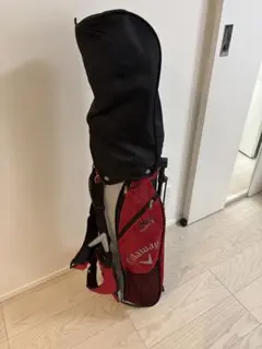 Item thumbnail for item 393d5a6c-5f3c-4a48-98a0-b28230b60436