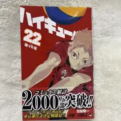 ハイキュー　22巻　陸vs空　古舘春一　漫画