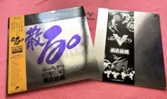 横浜銀蝿 『散る』 『ぶっちぎりV』 LPレコード 2枚セット　帯付