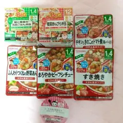 WAKODO 離乳食セット Big 栄養マルシェ　グーグーキッチン
