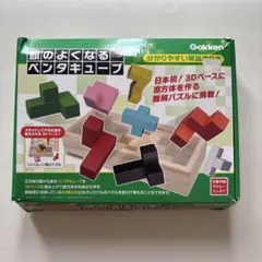 Gakken 頭の良くなるペンタキューブ 3Dパズル