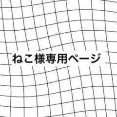 専用ページ