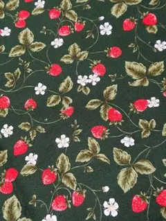 【新品】＊＊＊fragola＊＊＊生地幅×１m✨特価✨