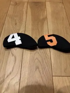 Item thumbnail for item 350c7e8d-818e-4823-b4c4-97b2e5d3958b