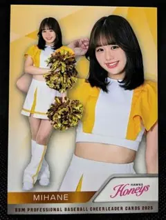 Item thumbnail for item a8d7e76d-2fdd-4070-825b-909f9f61e34c