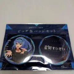 星街すいせい　ビッグ缶バッジセット