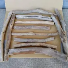 ★河川の自然流木 12本セット 自然素材 工作用(NO1)