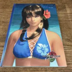 DEAD OR ALIVE/シークレットフォトブック/