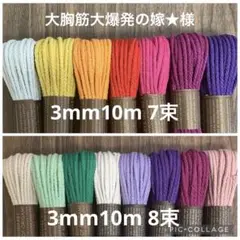 Item thumbnail for item d0a9fb42-1f8a-4786-a795-66635cfbf373