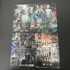 RIZINポテトスティックカード4枚セット