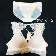 トリンプヴィンテージレース AMOジョイブラショーツ