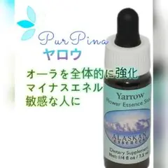 ヤロウ[Yarrow]　アラスカンエッセンス　フラワーエッセンス