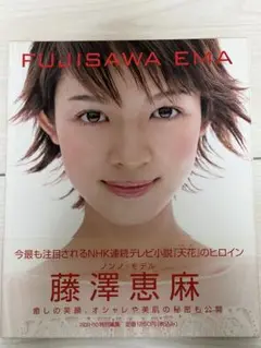 藤沢恵麻写真集