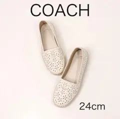 Item thumbnail for item 0d818ffb-a8ba-4278-8f8f-7dc58cfeab7b