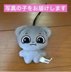 Kkamung&Angto ぬいぐるみマスコット　カムン